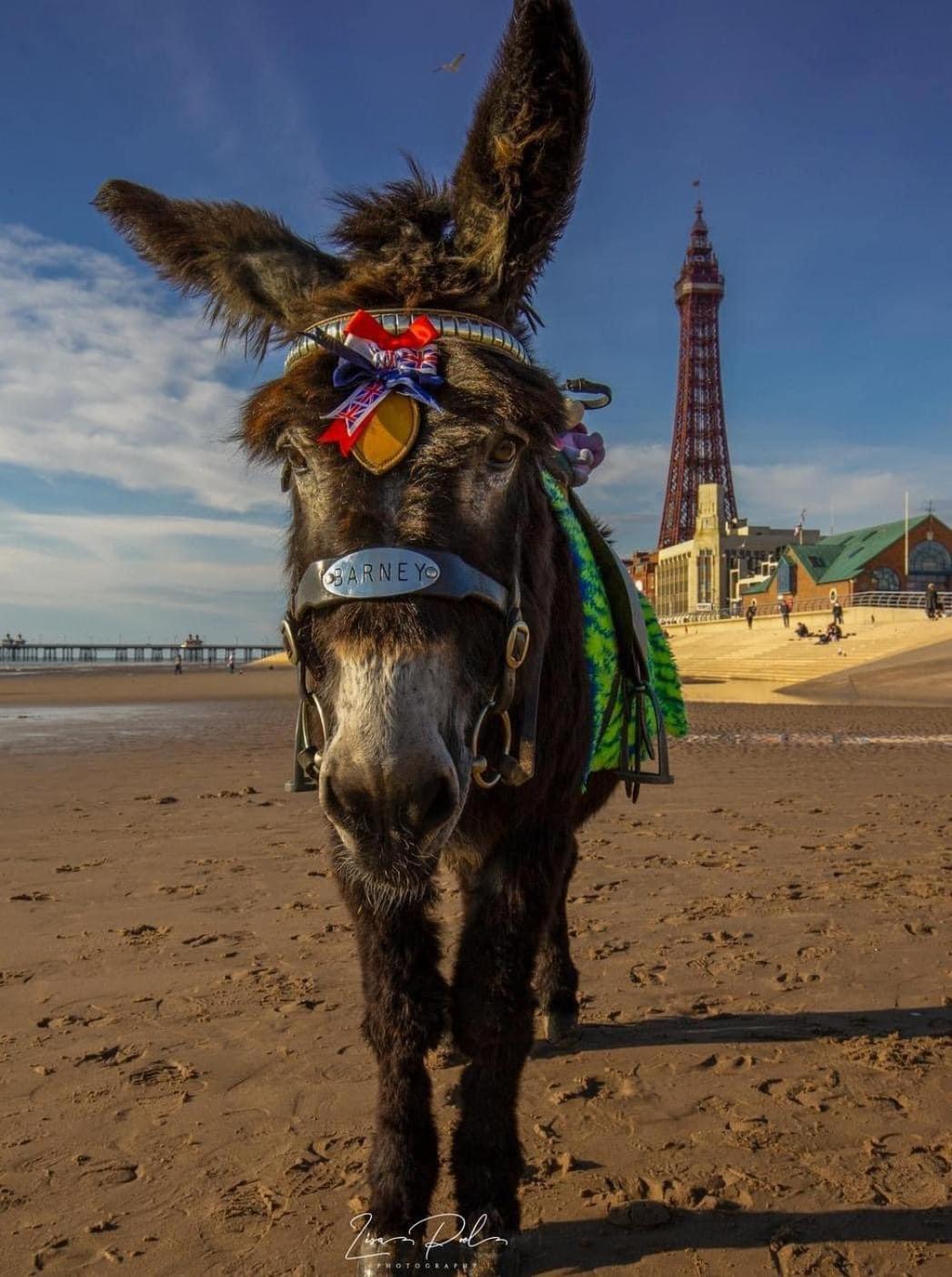 The Bailey Hotel Blackpool (Adults Only) 外观 照片